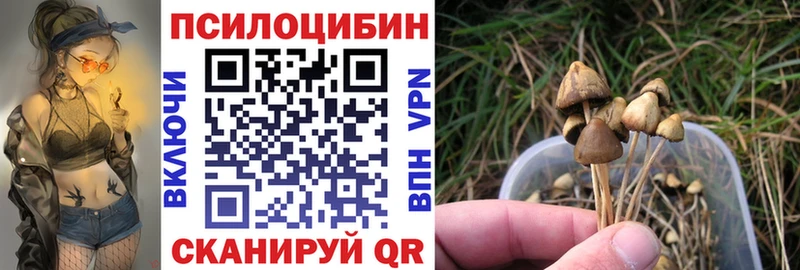 Галлюциногенные грибы ЛСД  купить закладку  Изобильный 